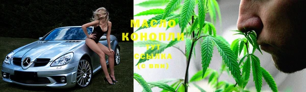 индика Касимов
