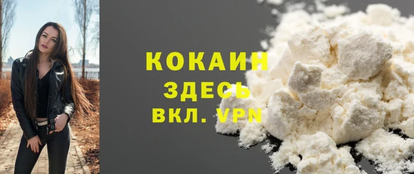индика Касимов