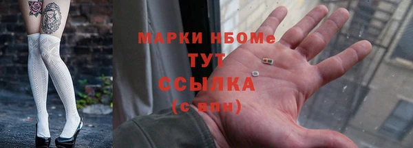 индика Касимов