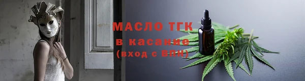 индика Касимов