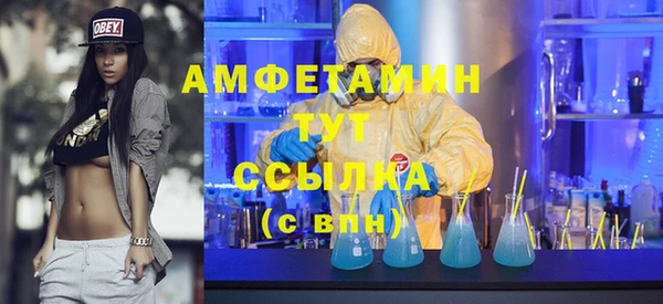 индика Касимов