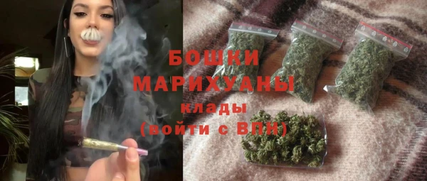 индика Касимов